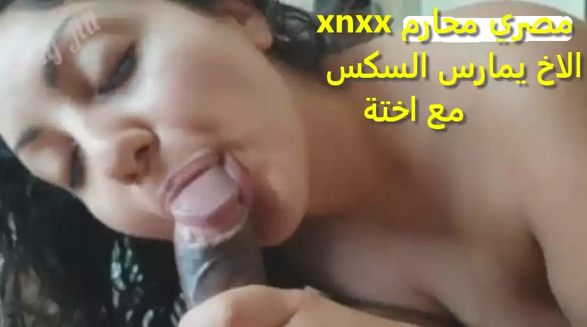 xnxx مصري